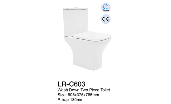 Is Lory Sanitary Ware Brand Good? Tips for Purchasing Sanitary Wares Products